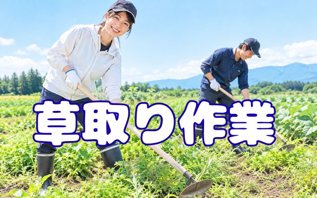 バイト先の写真
