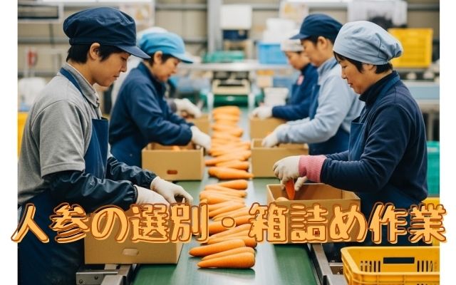 バイト先の写真