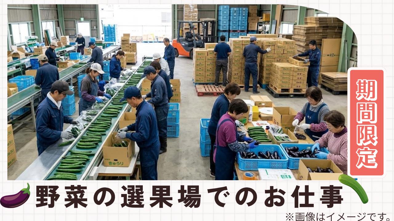 バイト先の写真