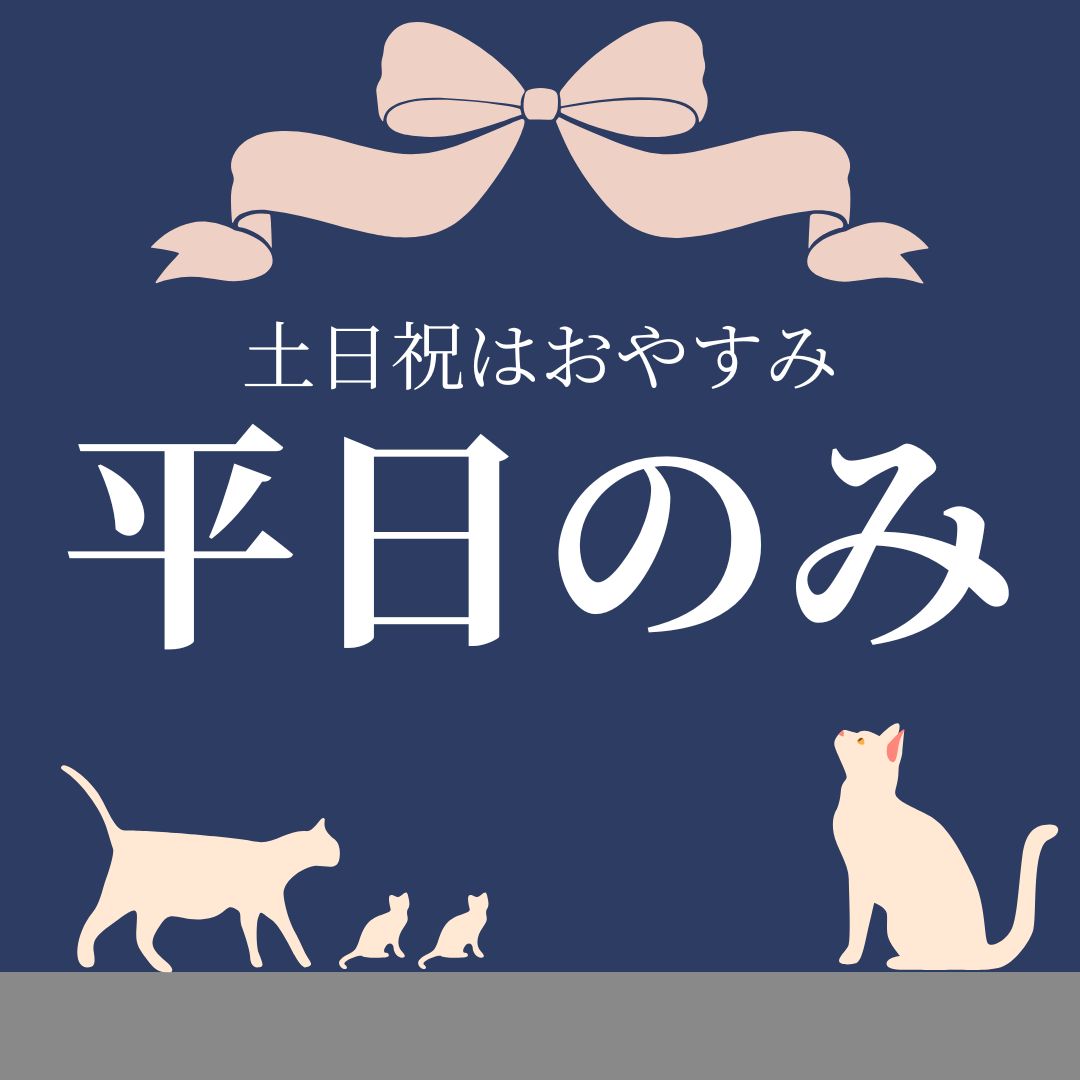 バイト先の写真