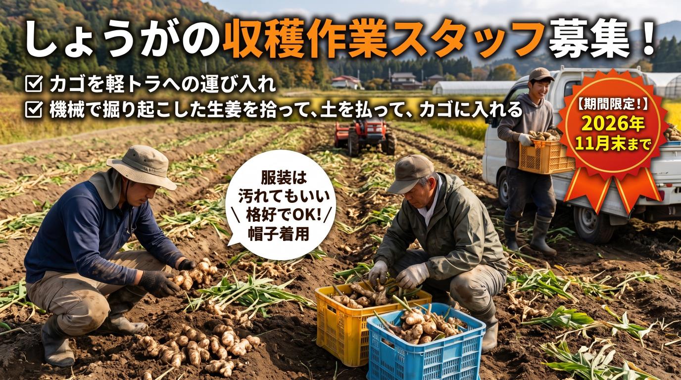 バイト先の写真