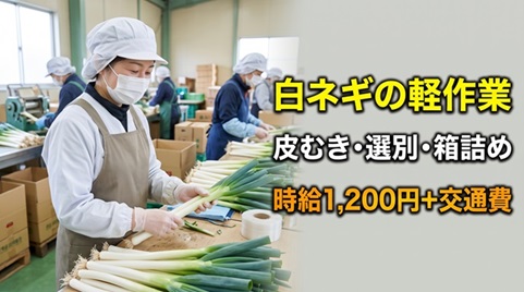 バイト先の写真