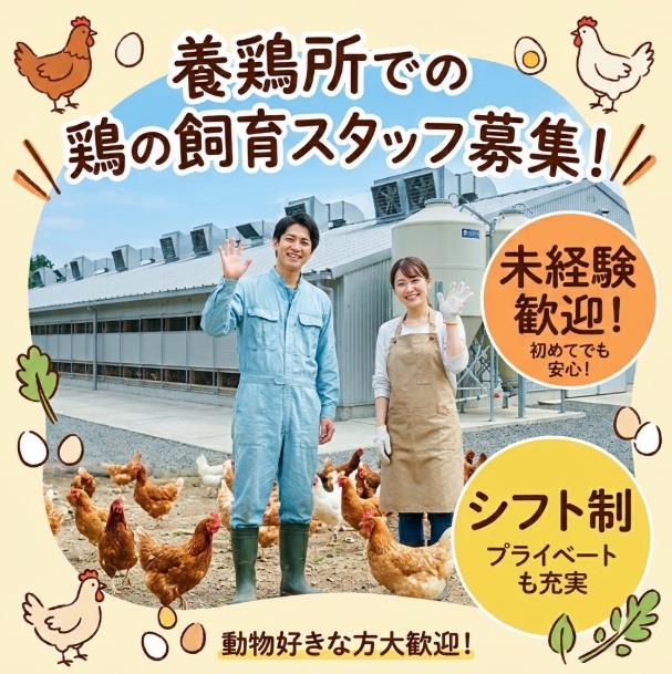 バイト先の写真