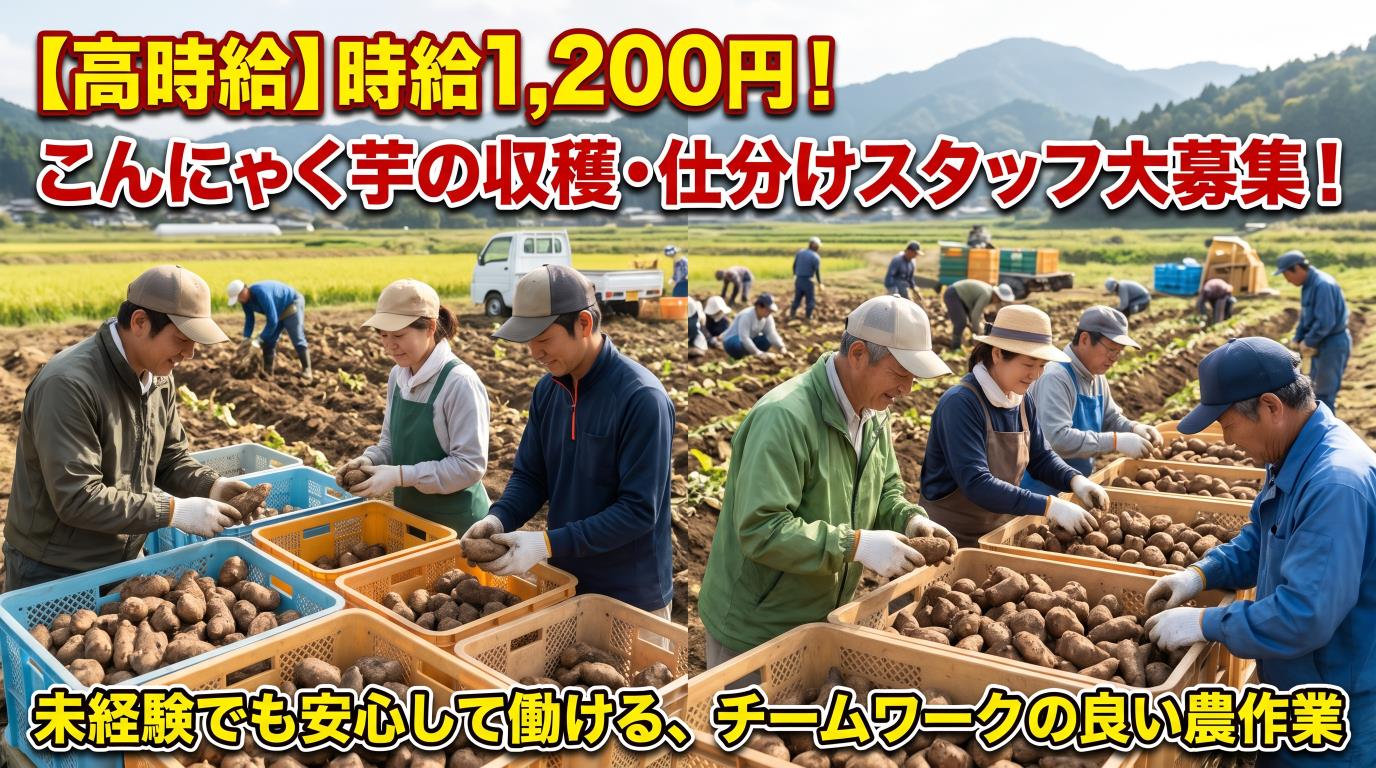 バイト先の写真