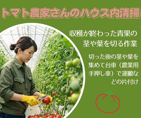 バイト先の写真