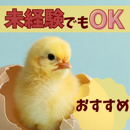 バイト先の写真