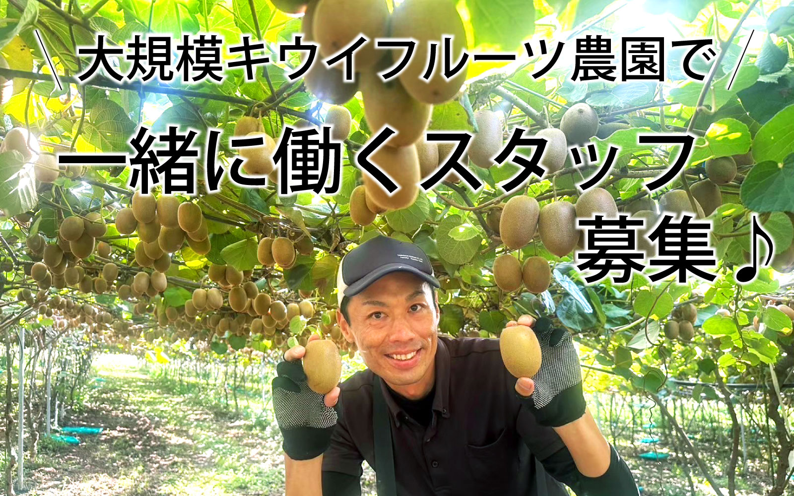 バイト先の写真