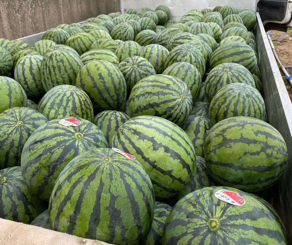 バイト先の写真