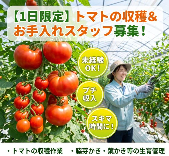 バイト先の写真