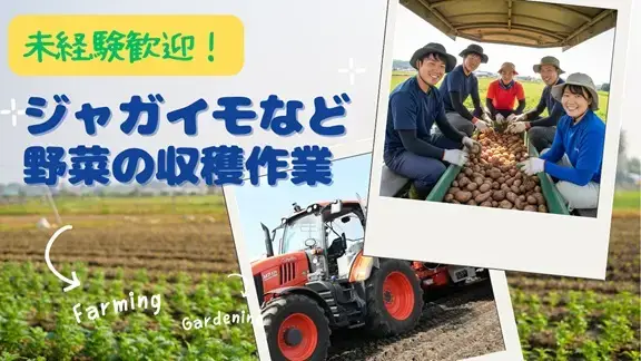 バイト先の写真