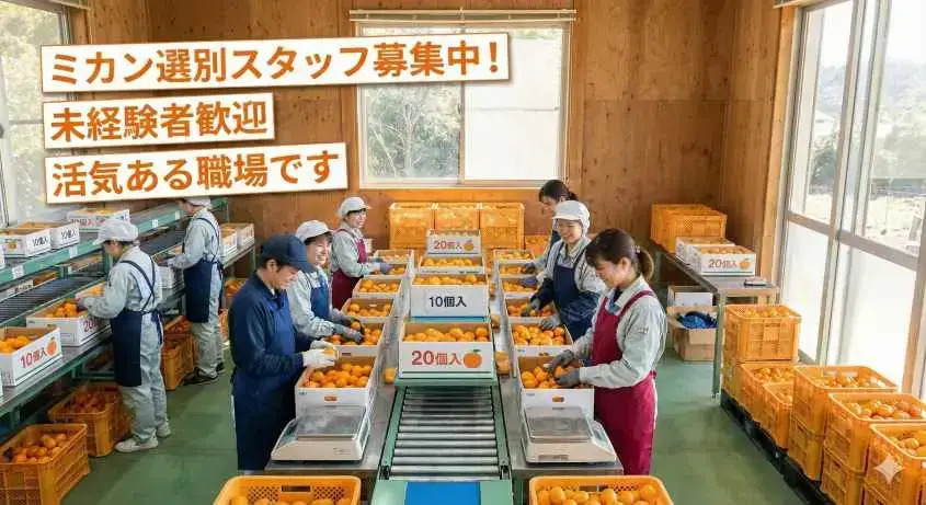 バイト先の写真