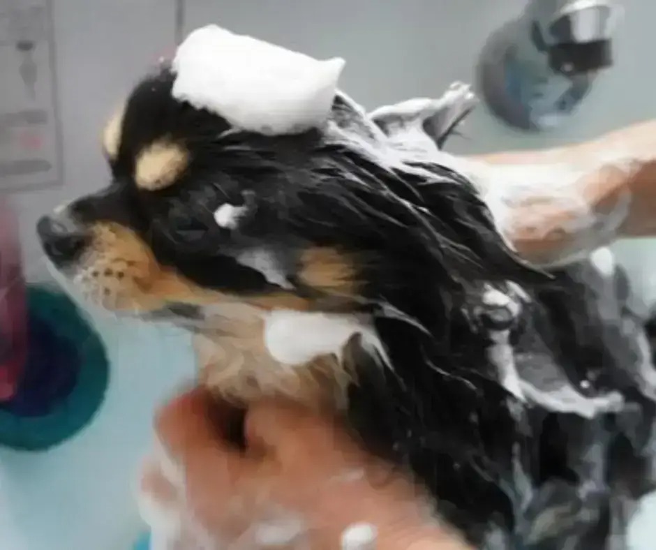 バイト先の写真