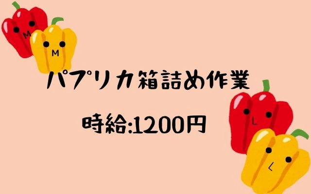 バイト先の写真